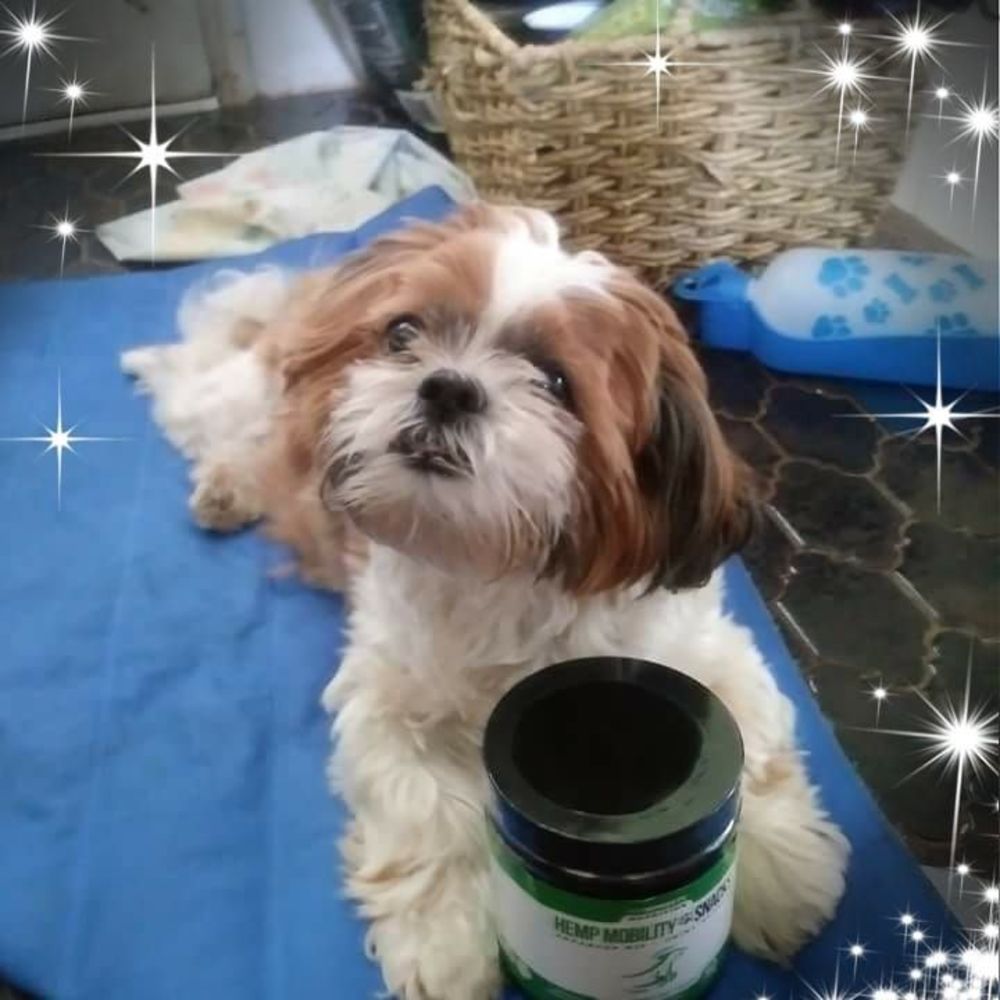 Meet your Posher, Lindette